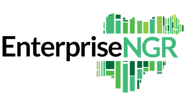 EnterpriseNGR logo